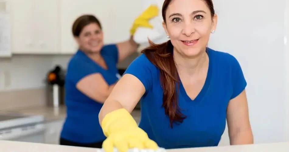 Maid Agency vs Independent Maid