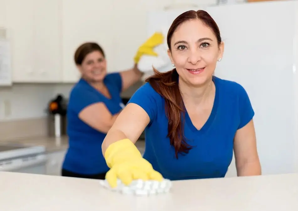 Maid Agency vs Independent Maid