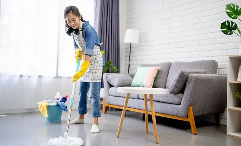 Maid from Maid Agency