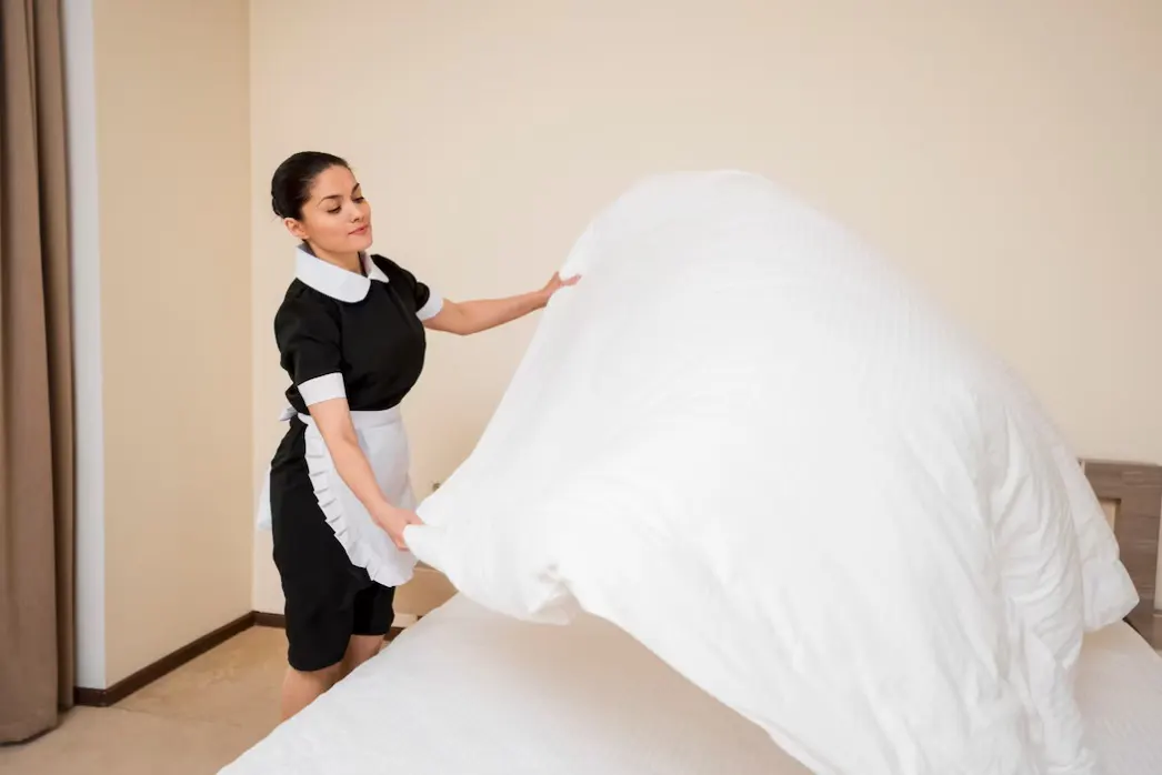 Maid Agency Services: What You Should Know Before Hiring One